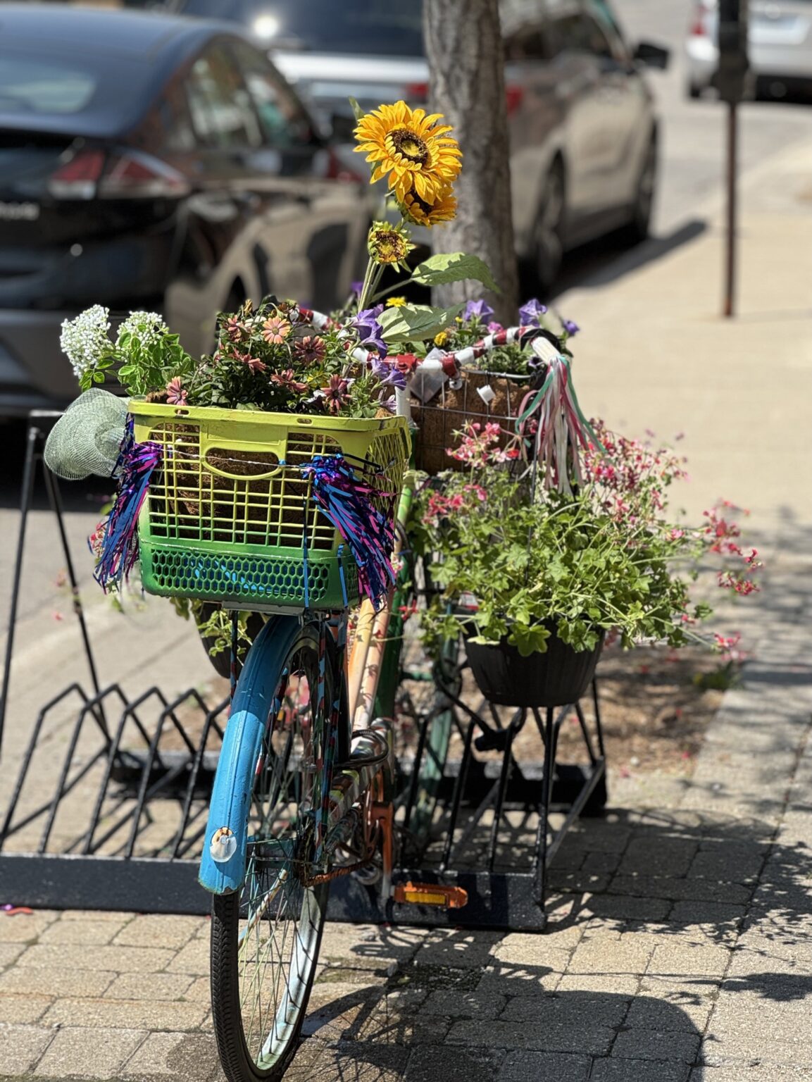 The Cycle of Giving bike